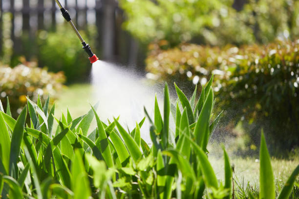 24/7 Emergency Mosquito Control experts in Cottonwood, MN